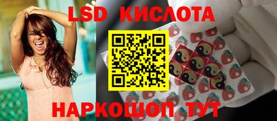 прущие грибы Будённовск