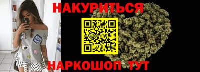 прущие грибы Будённовск
