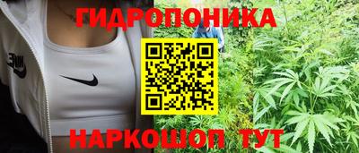 стафф Бузулук