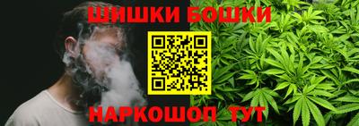 прущие грибы Будённовск