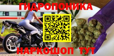 стафф Бузулук
