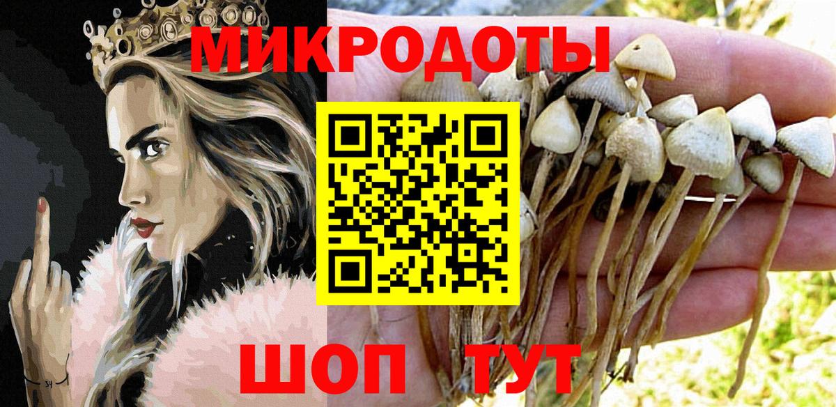 Псилоцибиновые грибы мухоморы Урус-Мартан