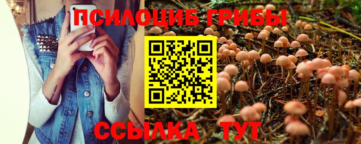 Псилоцибиновые грибы Magic Shrooms  Галлюциногенные грибы MAGIC MUSHROOMS  Вход с VPN  даркнет сайт  Урус-Мартан 
