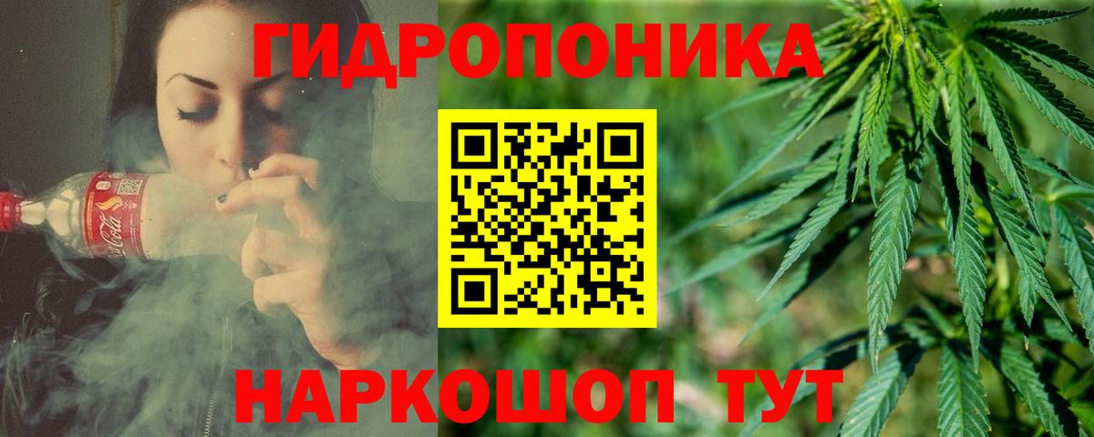 Шишки марихуана MAZAR  Вход с VPN  Марихуана AK-47  Канабис MAZAR  Каннабис гибрид  Урус-Мартан 